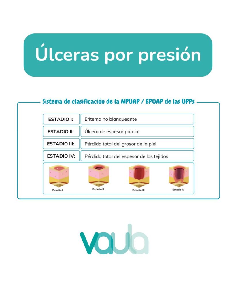 Esquemas sobre los temas, ¡disponibles en nuestros cuadernos! – imagen 1
