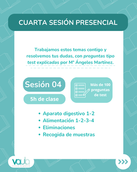 ¡Intensivo de septiembre en Zaragoza! – imagen 1